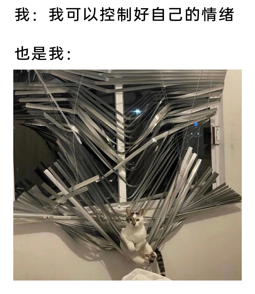 不堪重负猫meme ​​​