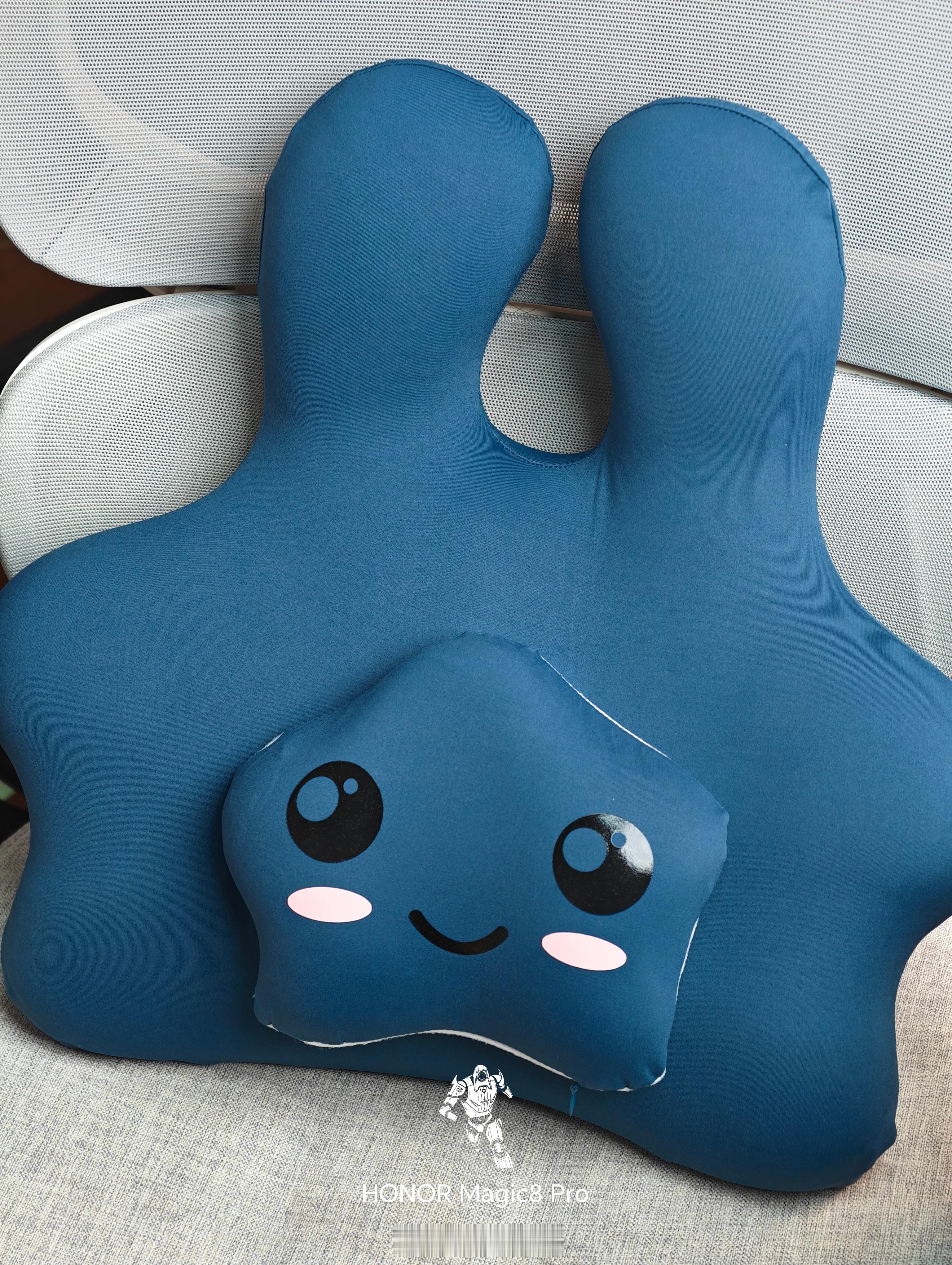 感谢鲁大师的生日礼物～真的真的太贴心了！这腰靠太舒服了