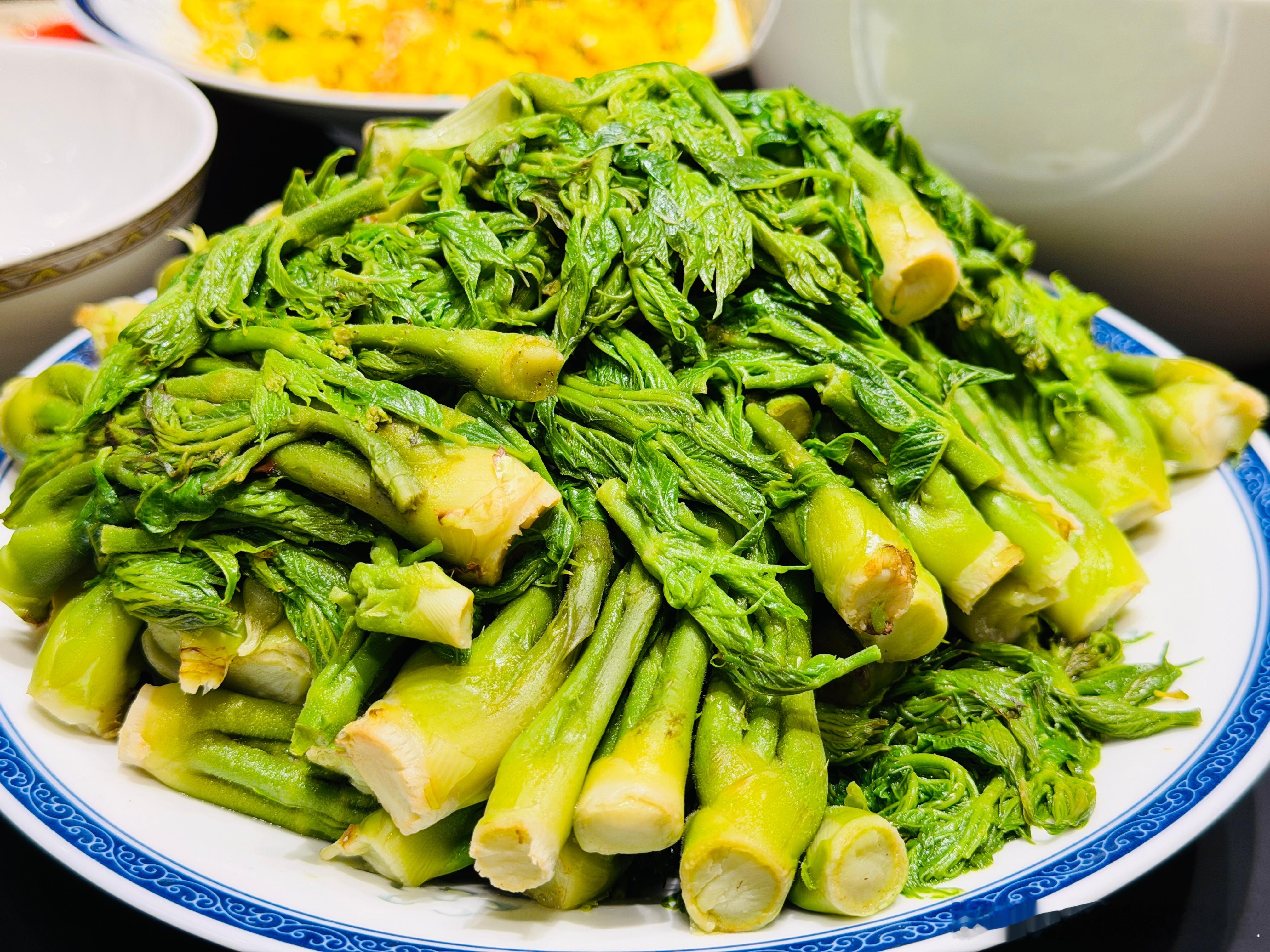 到了吃刺嫩芽的季节了，现在这东西越来越贵，二三十一斤，有没有爱吃的 