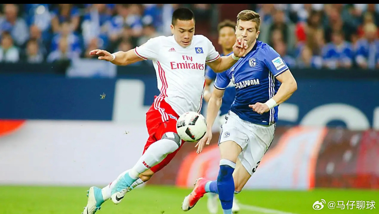 008沙尔克04vs汉诺威96推荐：让负比分：1-1,1-2解析：汉诺威96的整