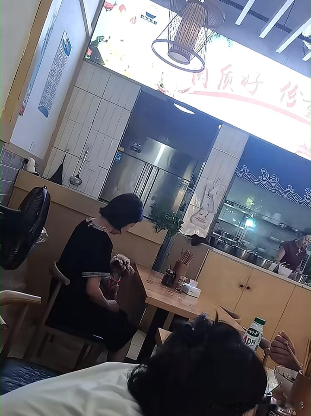 狗上桌，这次轮到四川成都的老麻本味抄手店了。有网友在这家店拍到了狗主人抱狗吃面的