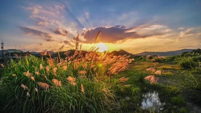 越生活条件好，越多人怀念以前，可以前明明又穷又苦。钱少、机会少、信息闭塞，生病靠