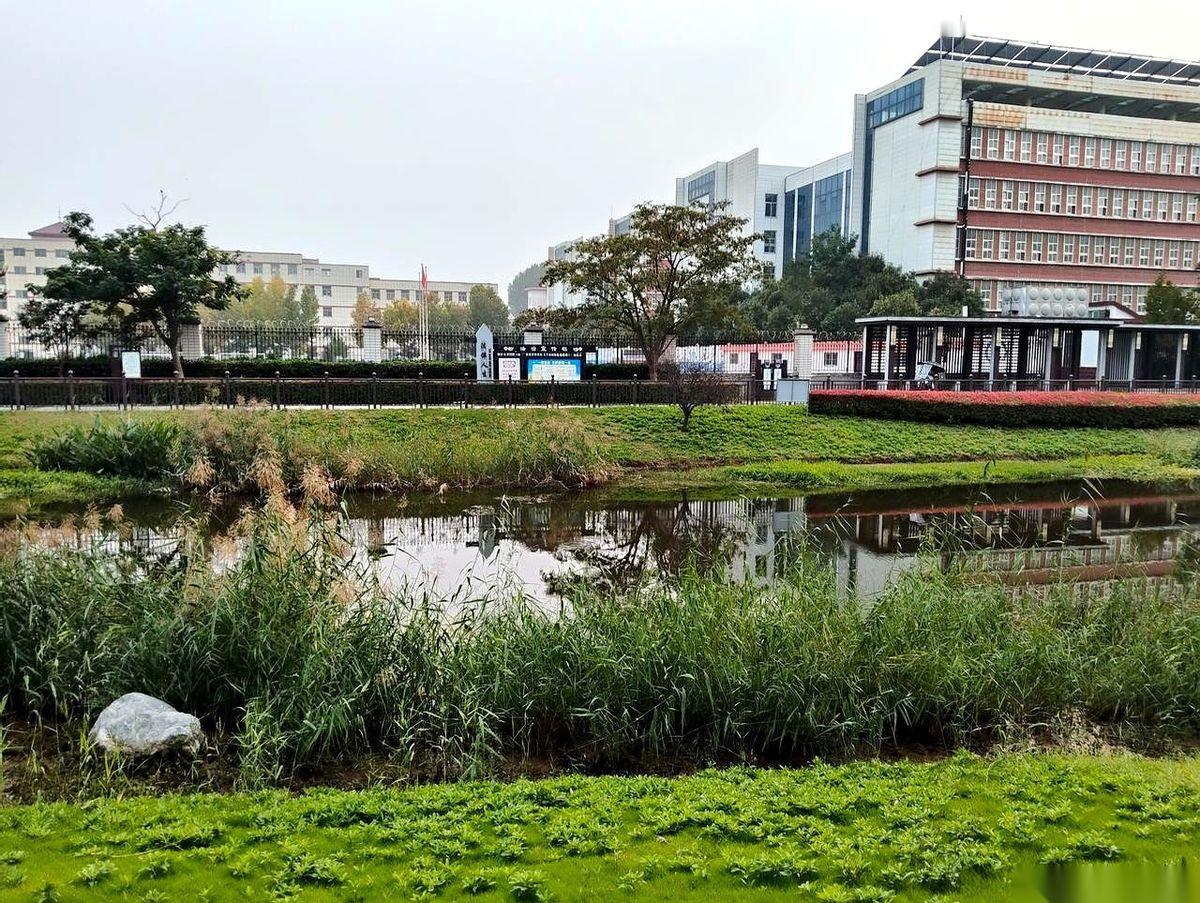 每天下班，我们单位最壮观的景象，不是打卡机前排长龙，而是一群大哥大姐，提着家里最