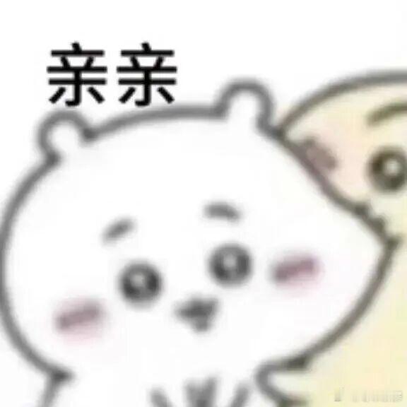   当百年古树遇上抗倭古堡，便有了霞浦传胪村的奇景。640米石墙上112株黄连木