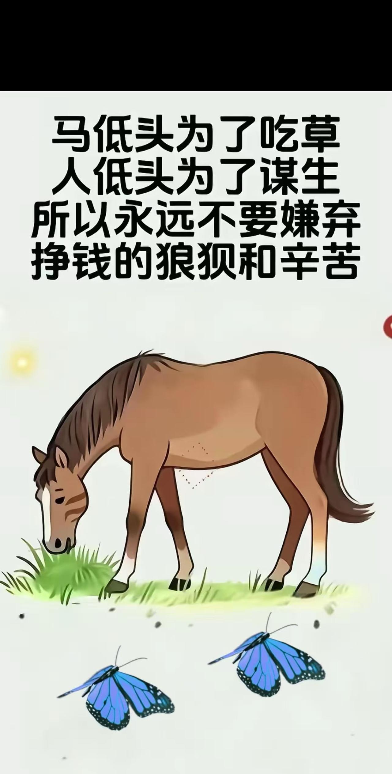 身体是革命的本钱健康 拥有健康才能拥有自我，生活才有意义，不能年轻时以身体换钱，