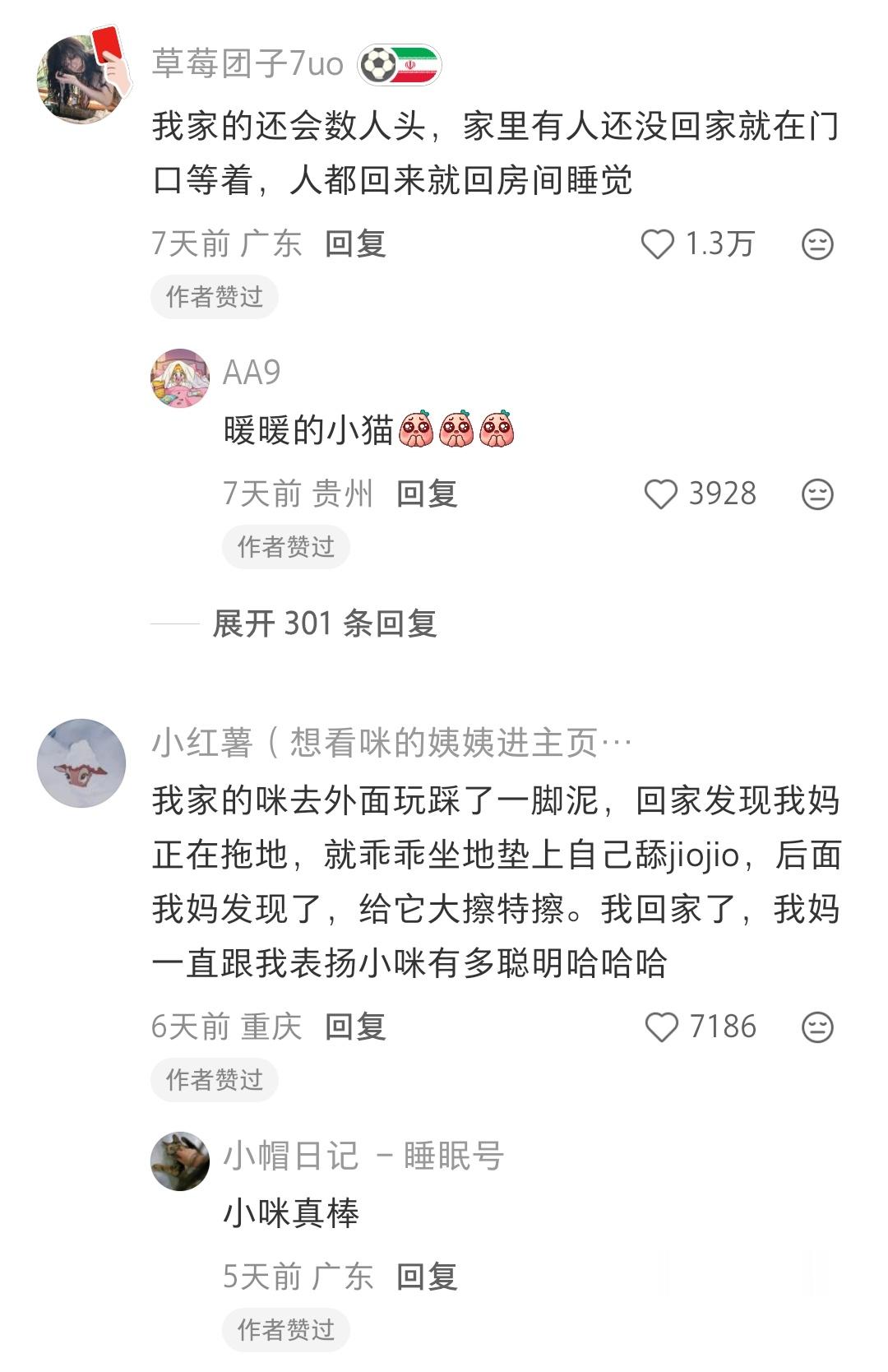 小猫居然分得清睡衣和出门衣服小咪真的很可爱啊 而且还很聪明 这个世界上根本就不能