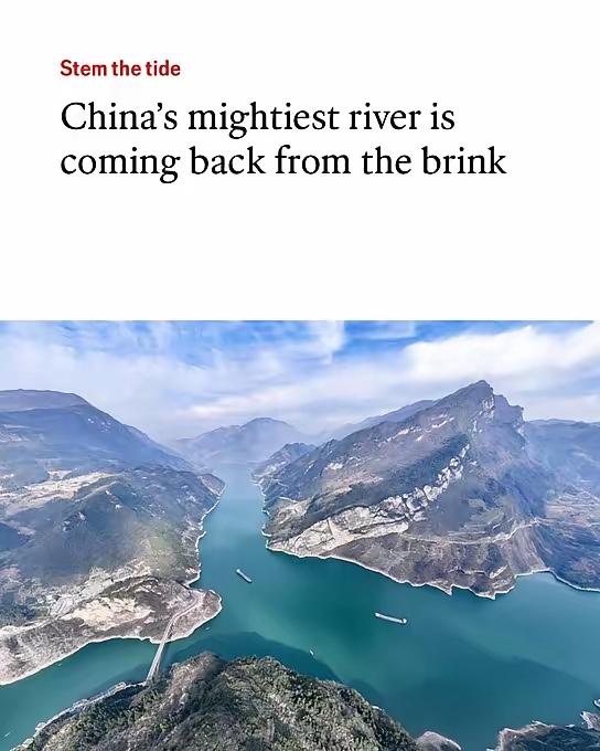 它们又来事了，一如既往地模式：虽然取得了成就，但是……
这次它们更过分了，还专门