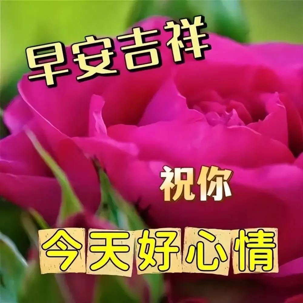 時光中我們漫步人生，
幸福中度過春夏秋冬，
友誼伴我們一生到老，
惦念讓我們有始