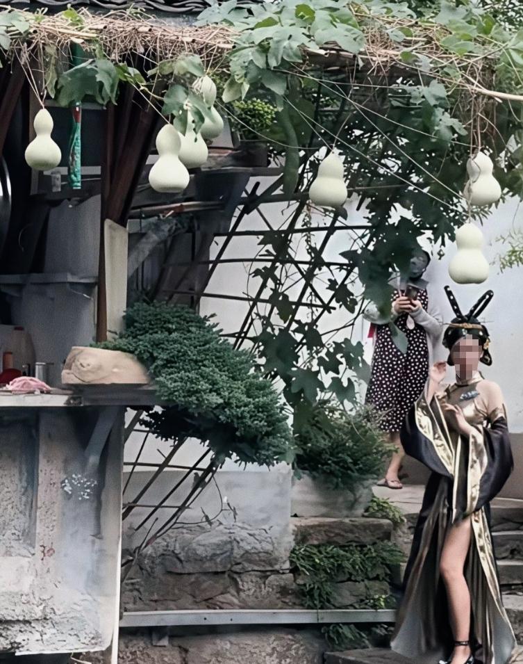 爷爷种的葫芦刚好七个，与葫芦娃相呼应，火了，好多网红COS“蛇精”上门挑衅，戏剧