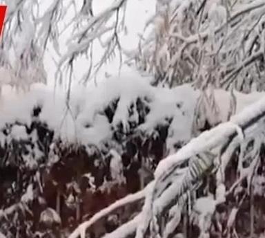 《特大暴雪只是前奏！第二股冷空气更强，这些地区将迎暴击》车里的暖气刚打足，手机就