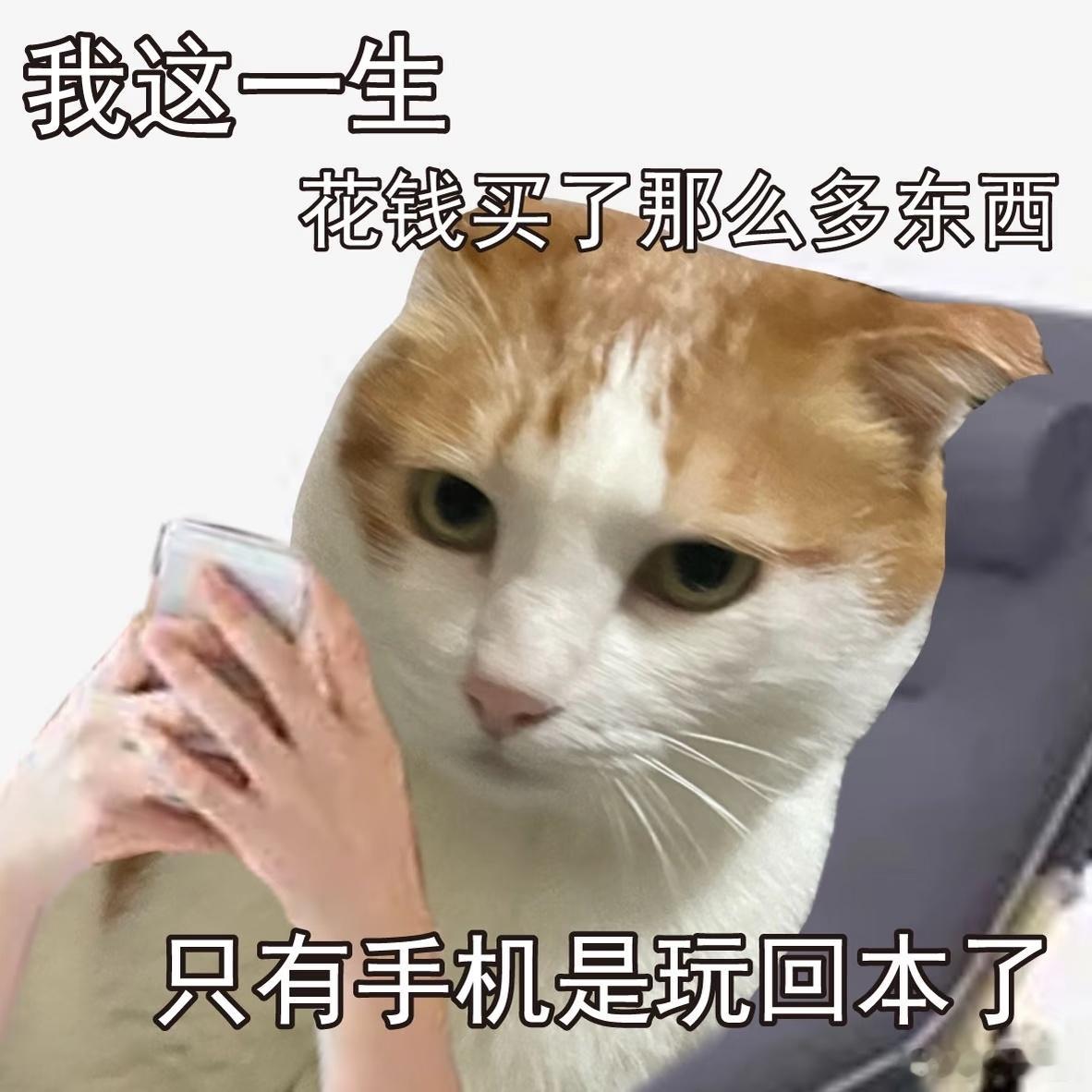 手机是我买过最回本的东西了确实，手机基本上24小时不会离开我，这钱花的真值为什么