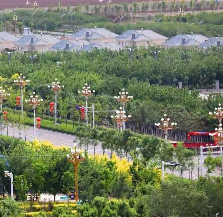 生在井冈山，长在南泥湾，转战数万里，屯垦在天山！