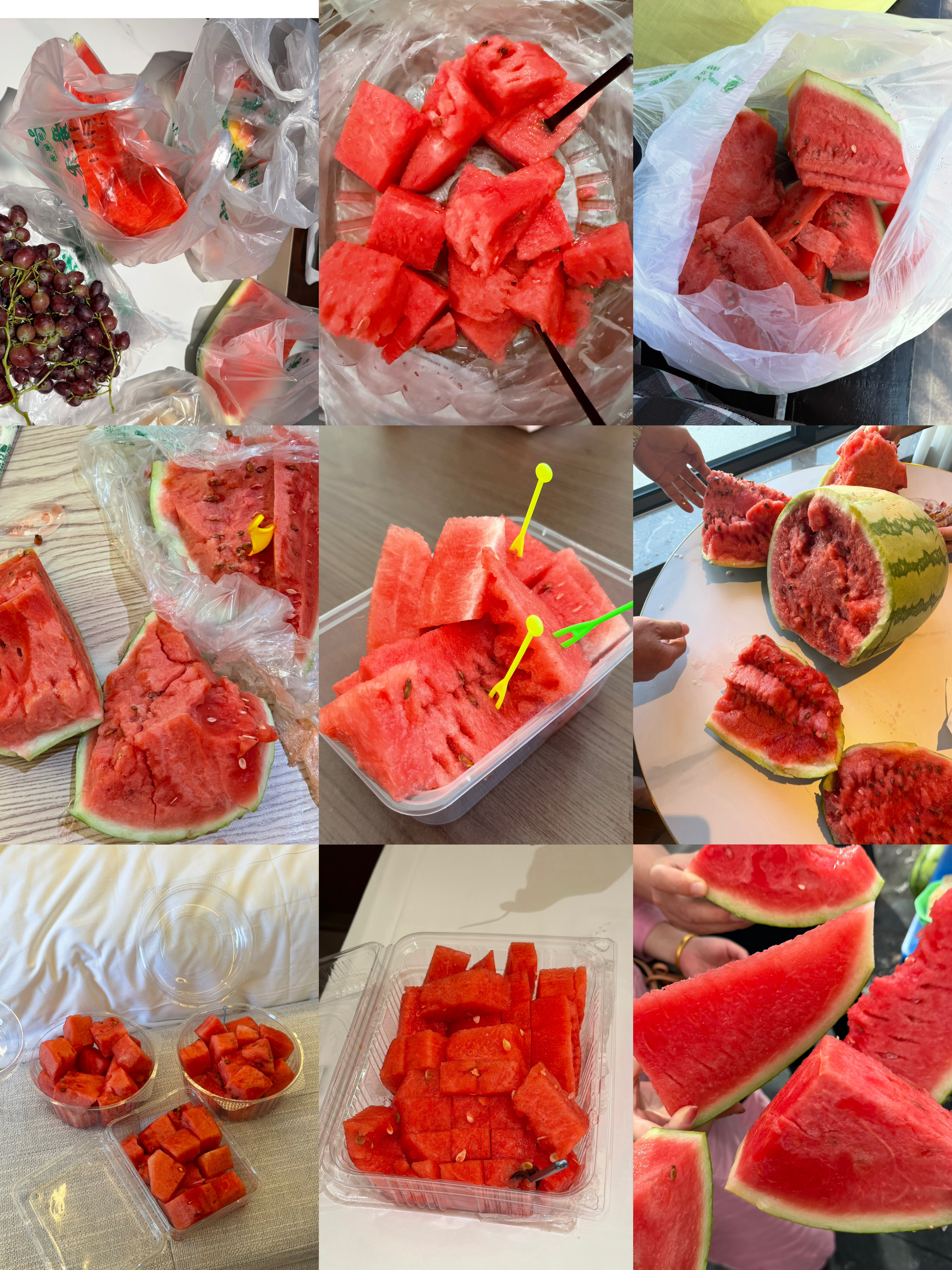 这几天吃成西瓜仙人了🍉