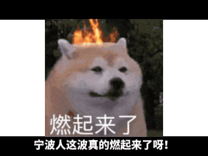 强烈推荐宁波×喜马拉雅《宁波，藏不住》播客！王安宇用充满感染力的声音，带我们解锁