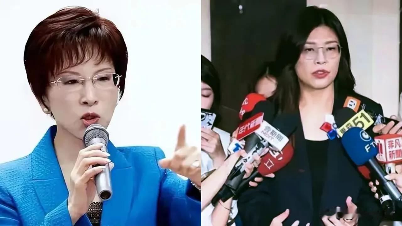 洪秀柱硬核发声，句句戳心！真的听得人拍手称快！
 
全网必须给洪秀柱点一个大大的