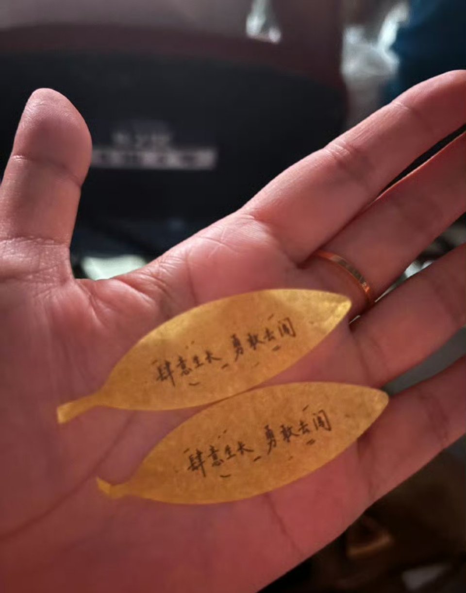 王俊凯彩带是重庆市树金色的叶子彩带，上面写着“重庆王俊凯，勇毅共闯”，太有心了～