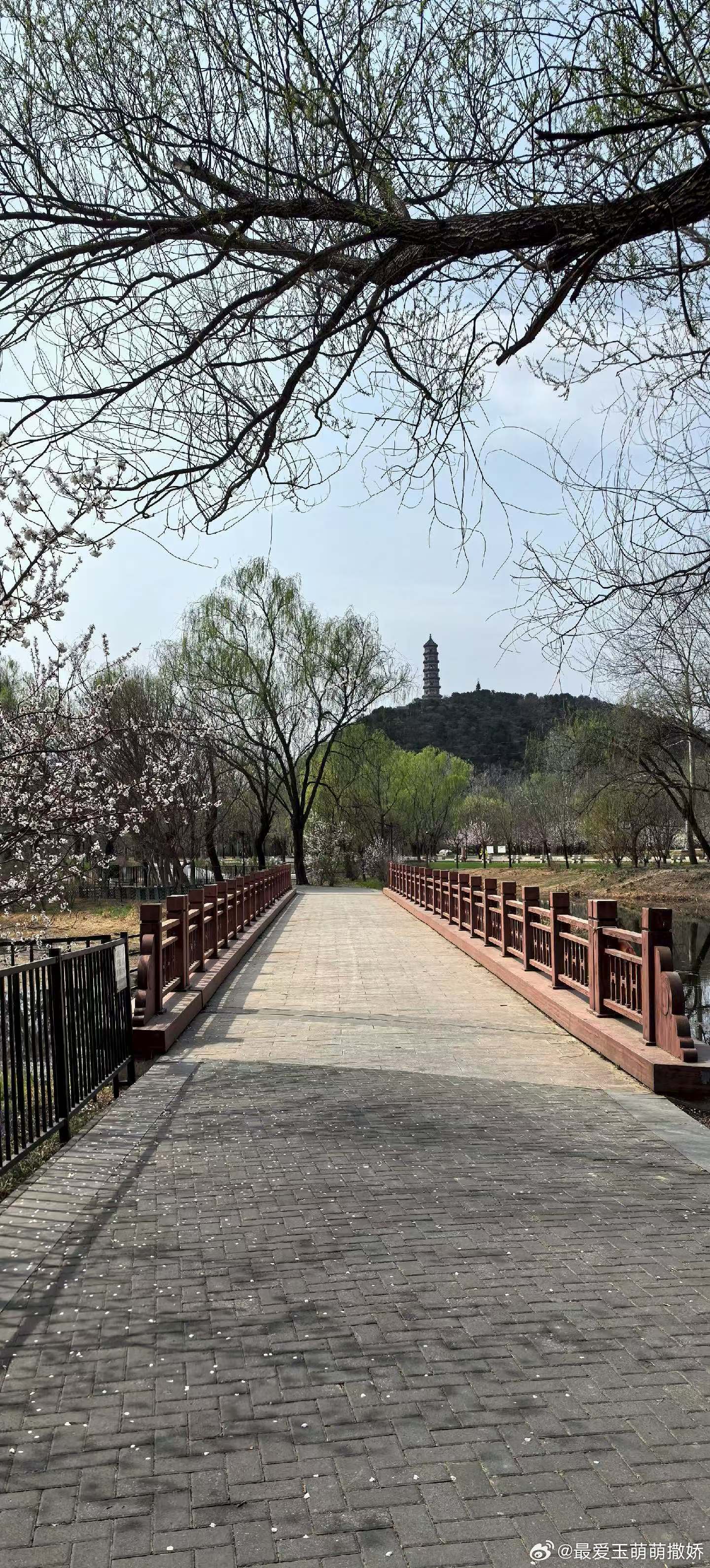 生活手记长久的亲密关系，靠的不是一时激情，而是稳定的情绪、清晰的边界与持续的包容