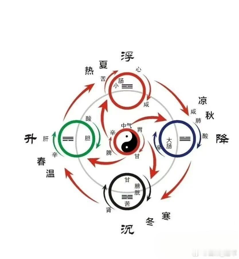 脾阳左升生木火，胃阴右降金水收藏乙（肝）木的升发，关键在于己（脾）土。木生于水而