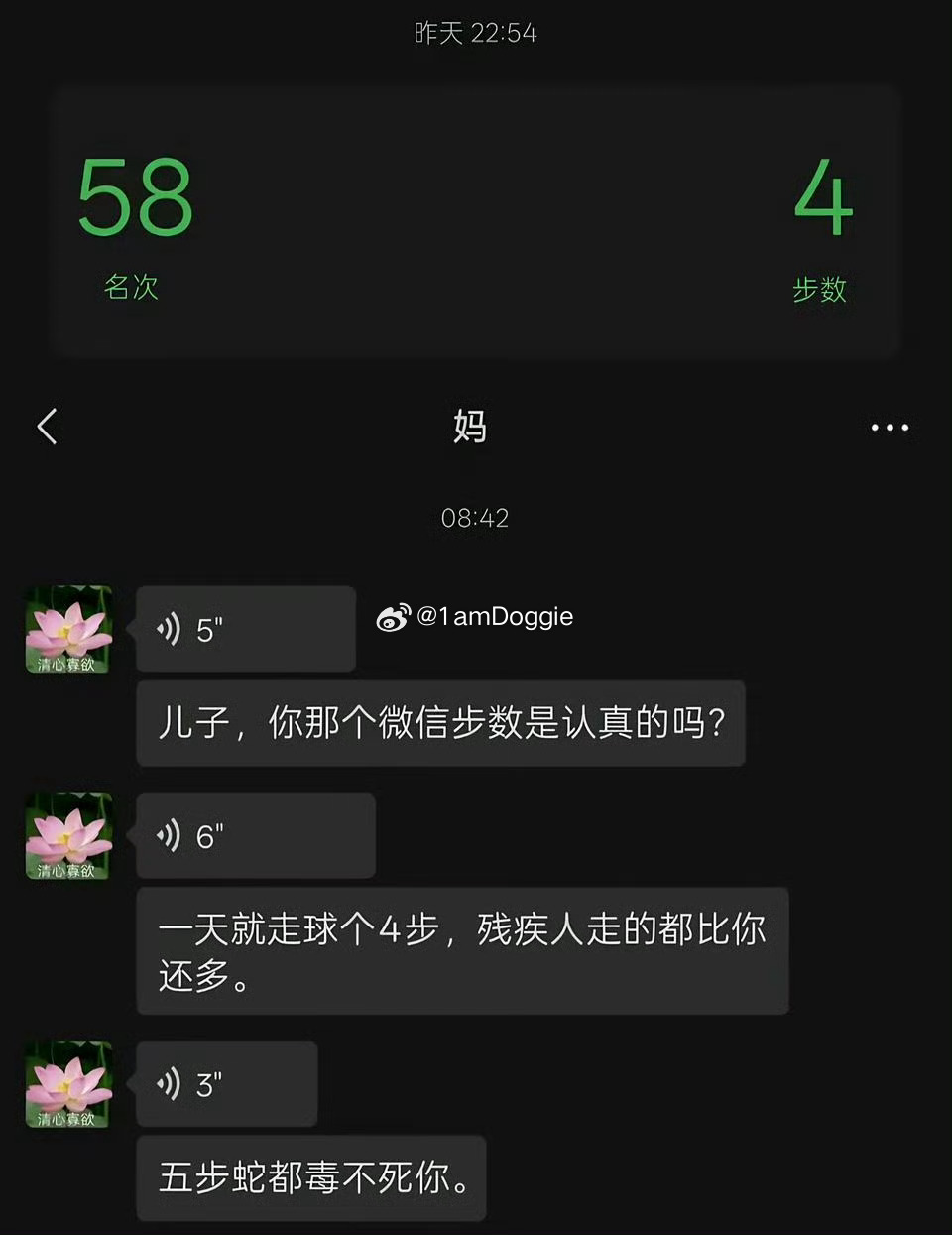 我放假在家： 