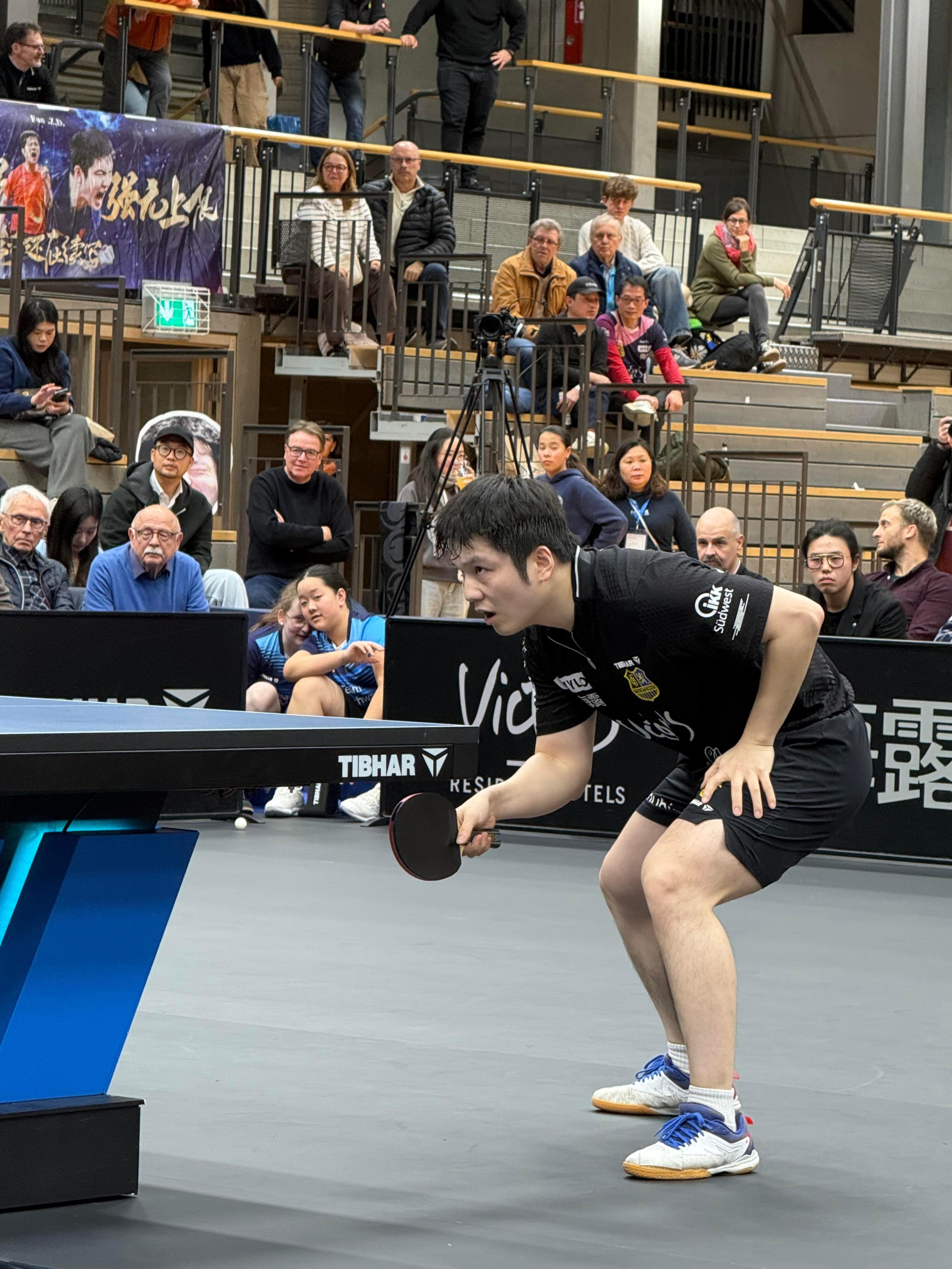 心有振东 东彻山河 🇨🇳梦起振东 东耀赛场 🇨🇳风遇振东 东破万重 🇨