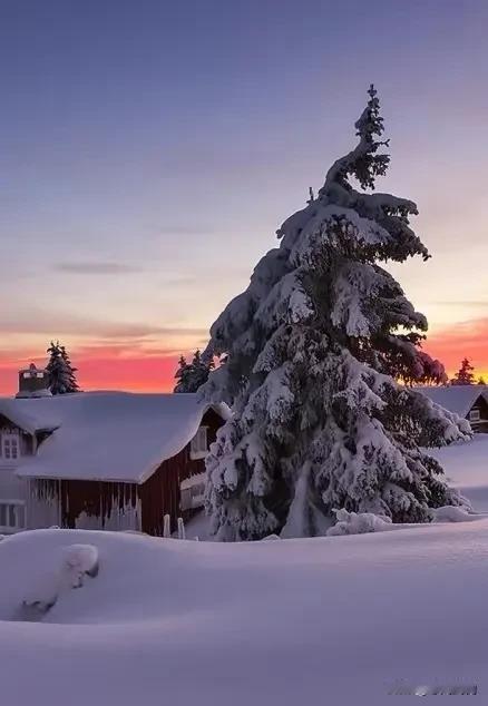 雪景，美景如画。岁月，如同一本翻过的书，一页一页，记录着我们的昨天，今天，和明天