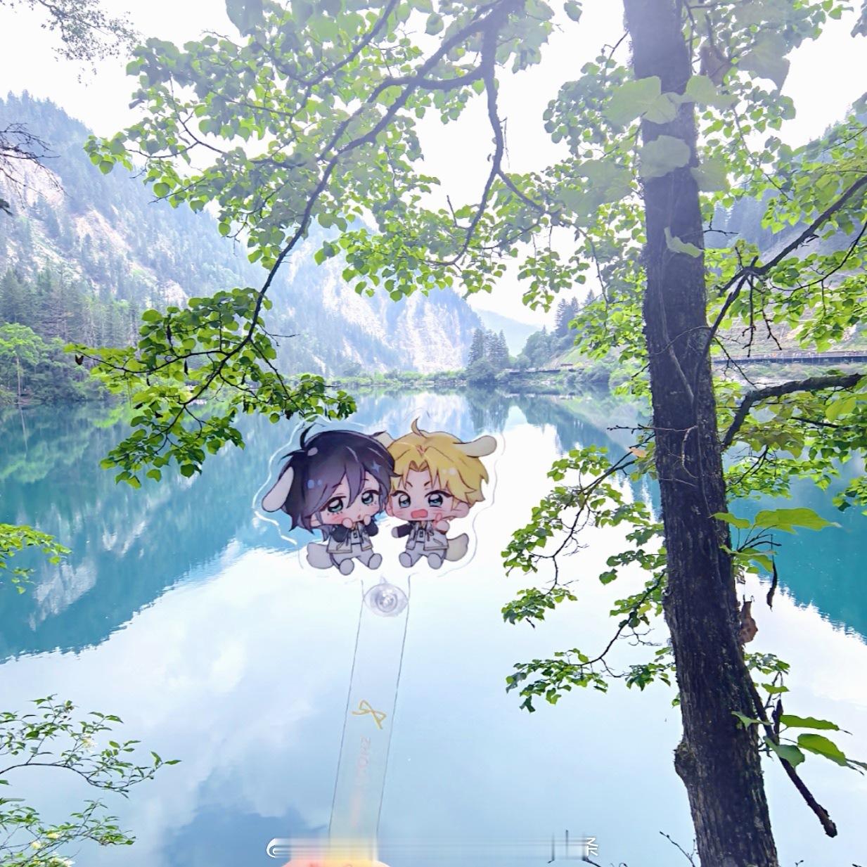 箭竹海 