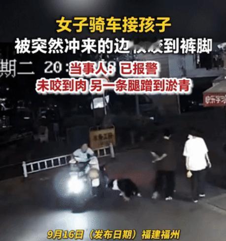 福建福州，女子骑电动车去接孩子，一边牧突然冲过来就去咬女子的腿，还好女子躲得快，