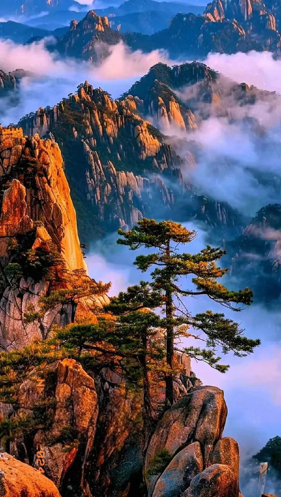 七律  无题（九六）

风中花落已难留，
老去容颜不复收。
岁月无声匆匆去，
红