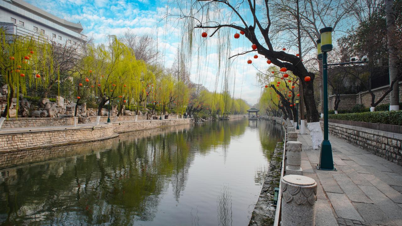 春风拂过大明湖，湖面波光粼粼，柳丝轻垂，新绿染遍堤岸。岸边花开次第，粉白相映，游