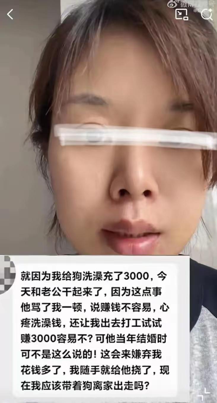 吵翻全网！妻子花3000元给狗办洗澡卡，丈夫暴怒：你对狗都比对我好
 （个人观点