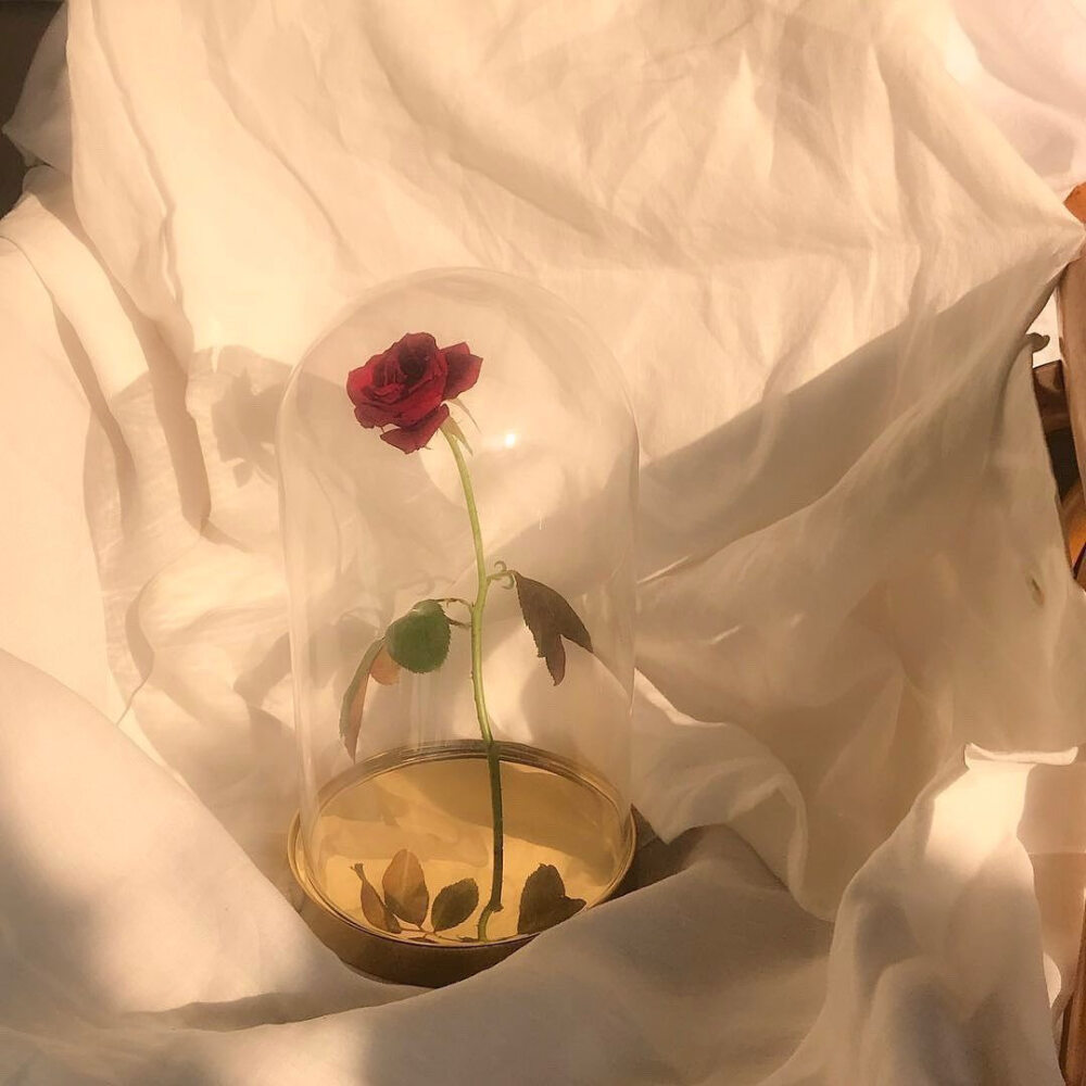 没关系的，大家都会做错选择，会莫名其妙掉眼泪，走在路上会突然崩溃，但这并不影响我