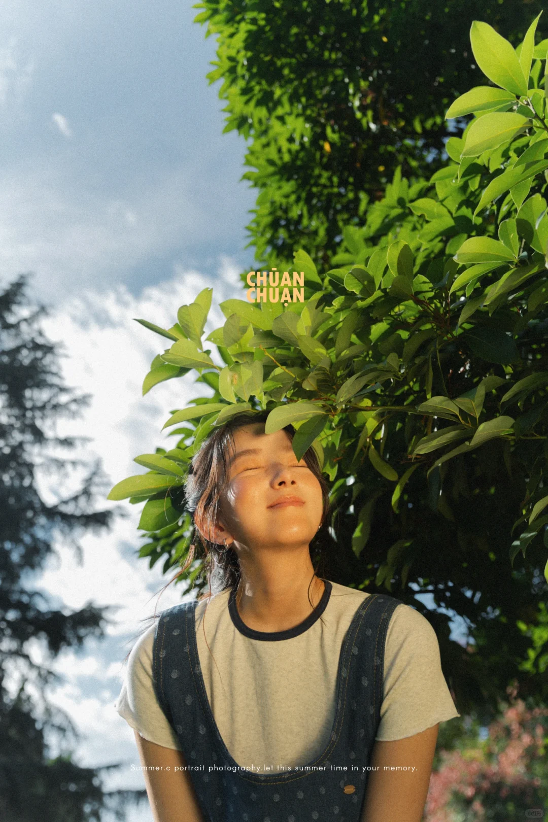 北欧电影里的夏天