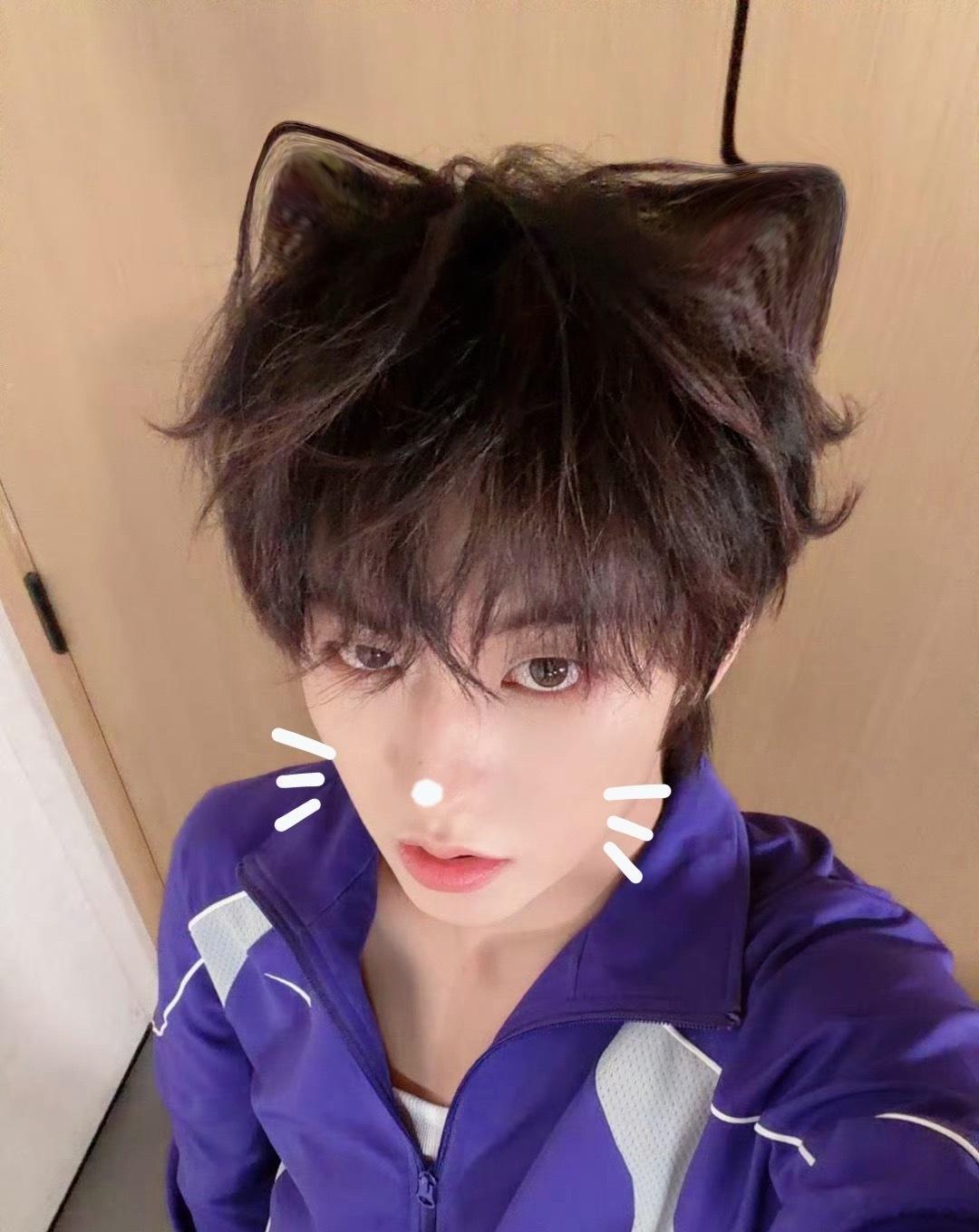 可是呢…张子墨只是一只小猫呀… 