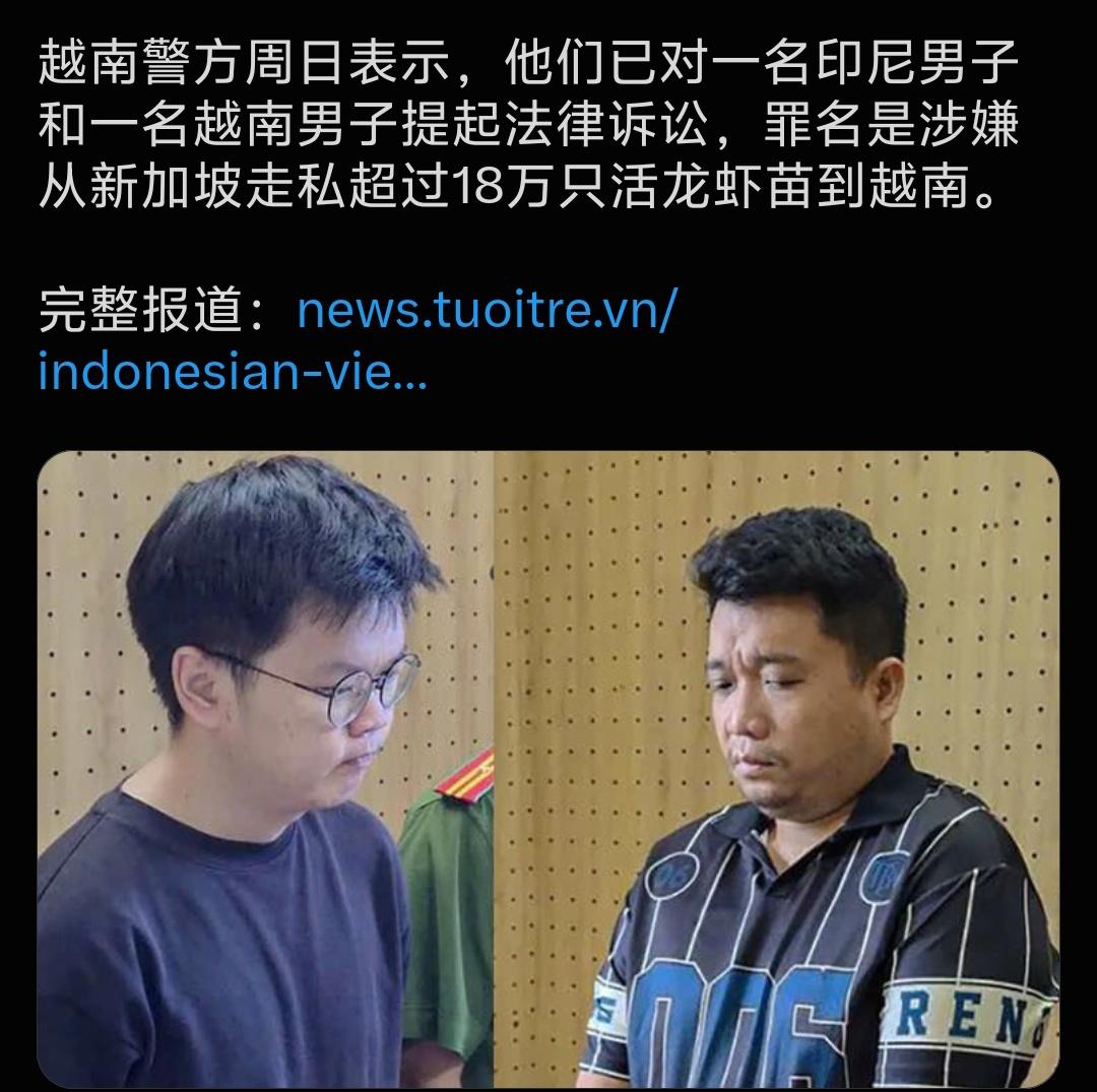 从新加坡走私龙虾到越南？
越南媒体报道，越南警方对一名印尼男子和一名越南男子提起