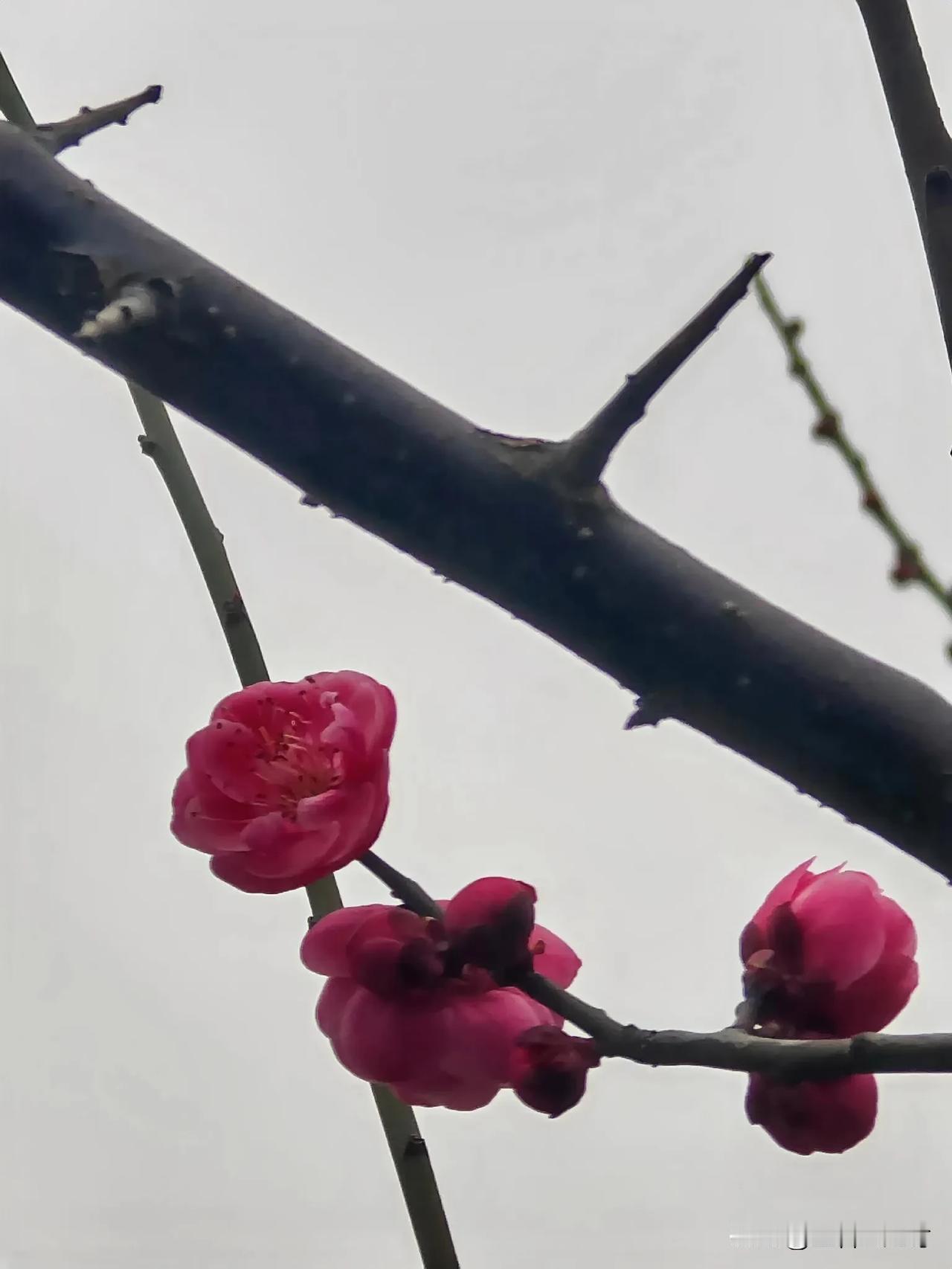 确实如此，老话说得好：“儿女自有儿女福”，儿女们都有自己的福气和人生轨迹，咱们管