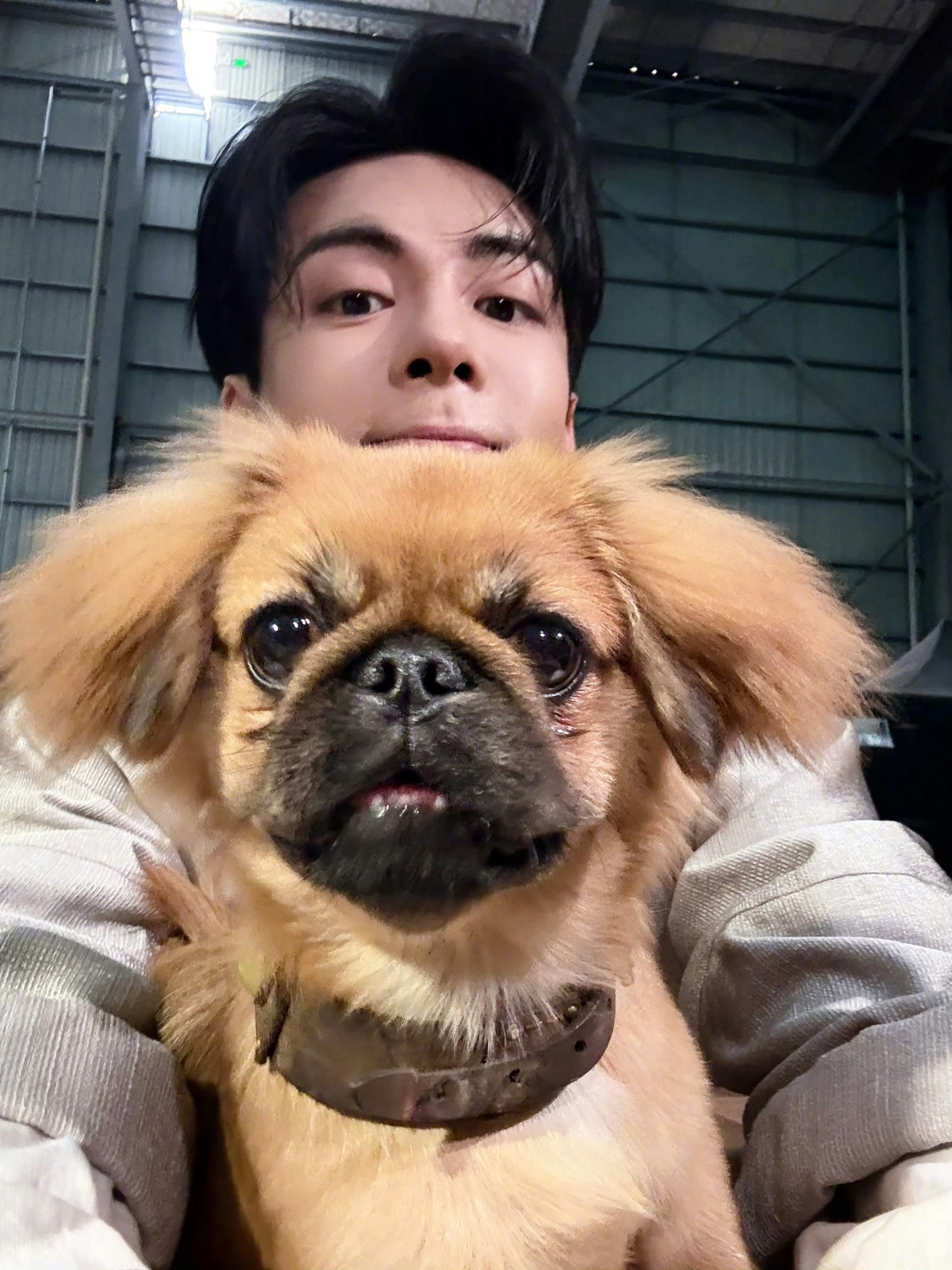 他俩的大眼睛咋这么像我就说我宝贝也是个狗吧 