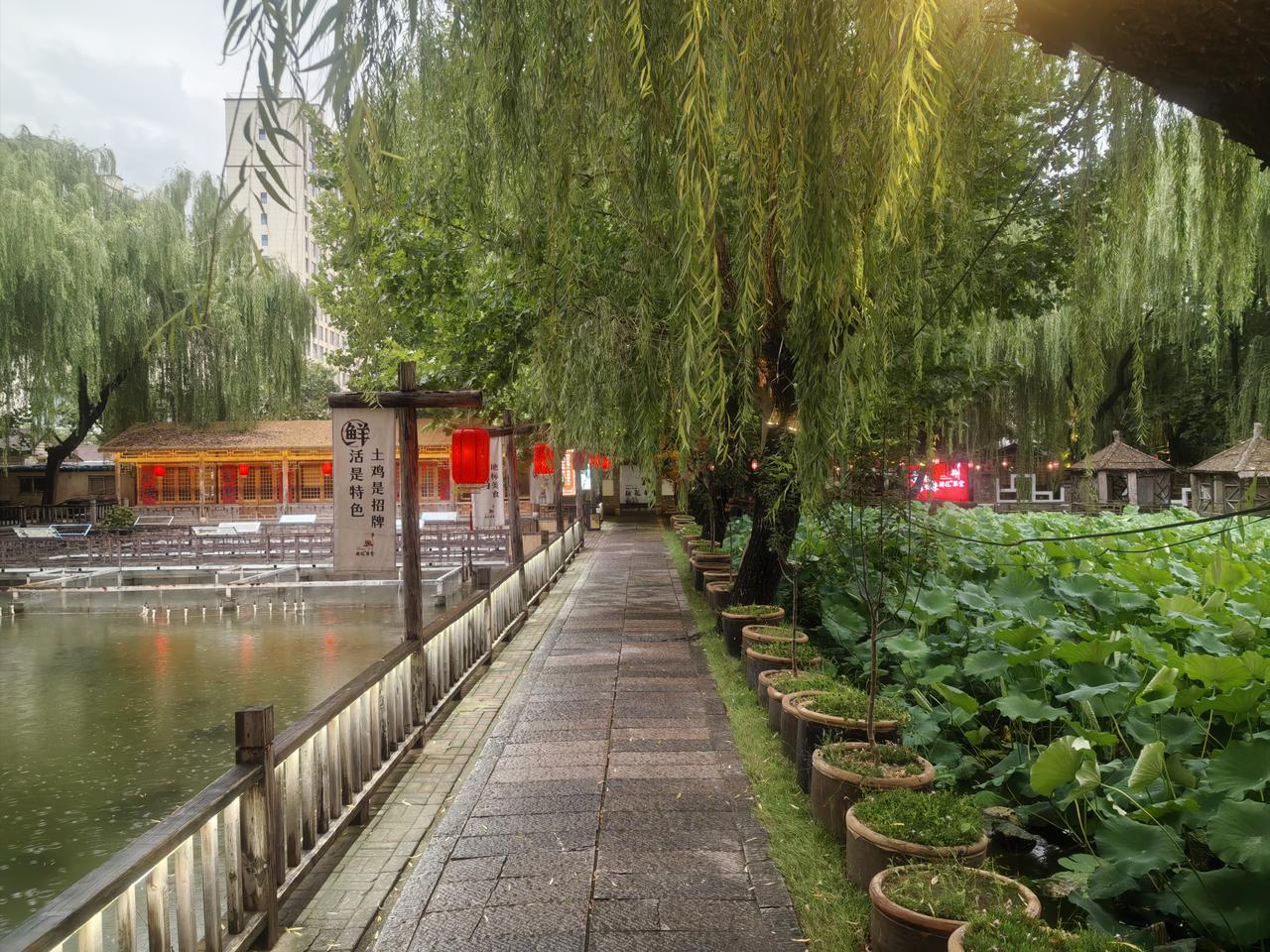 平时因为价格高昂，不舍得去的五星大饭店，现在亲民外卖，很多人都想尝一尝，味道到底