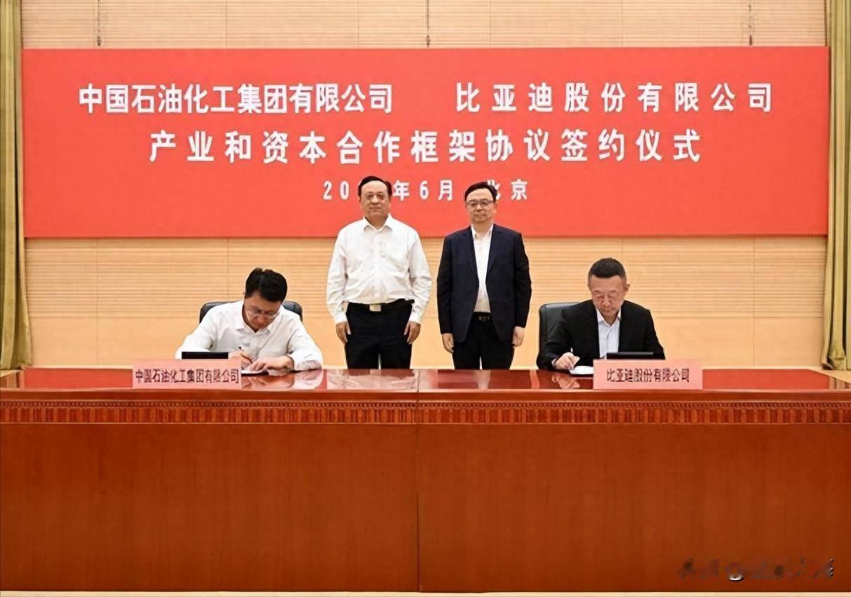 重磅联手！
中石化3万座站点全面落地比亚迪闪充，新能源补能迎来划时代变局
 
比
