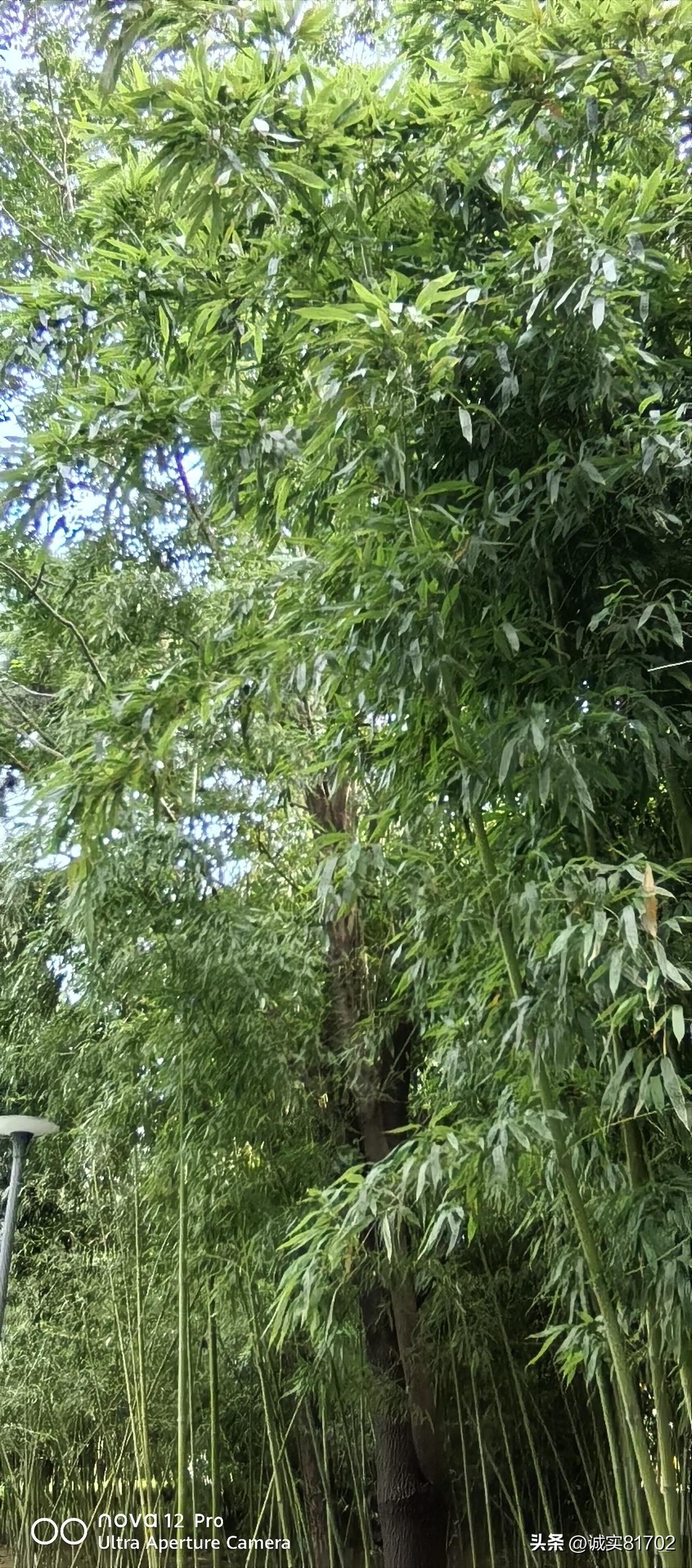 分享晒图笔记大赛时间是个好东西，能证明一切什么，有时心里不快，只能慢慢消化。