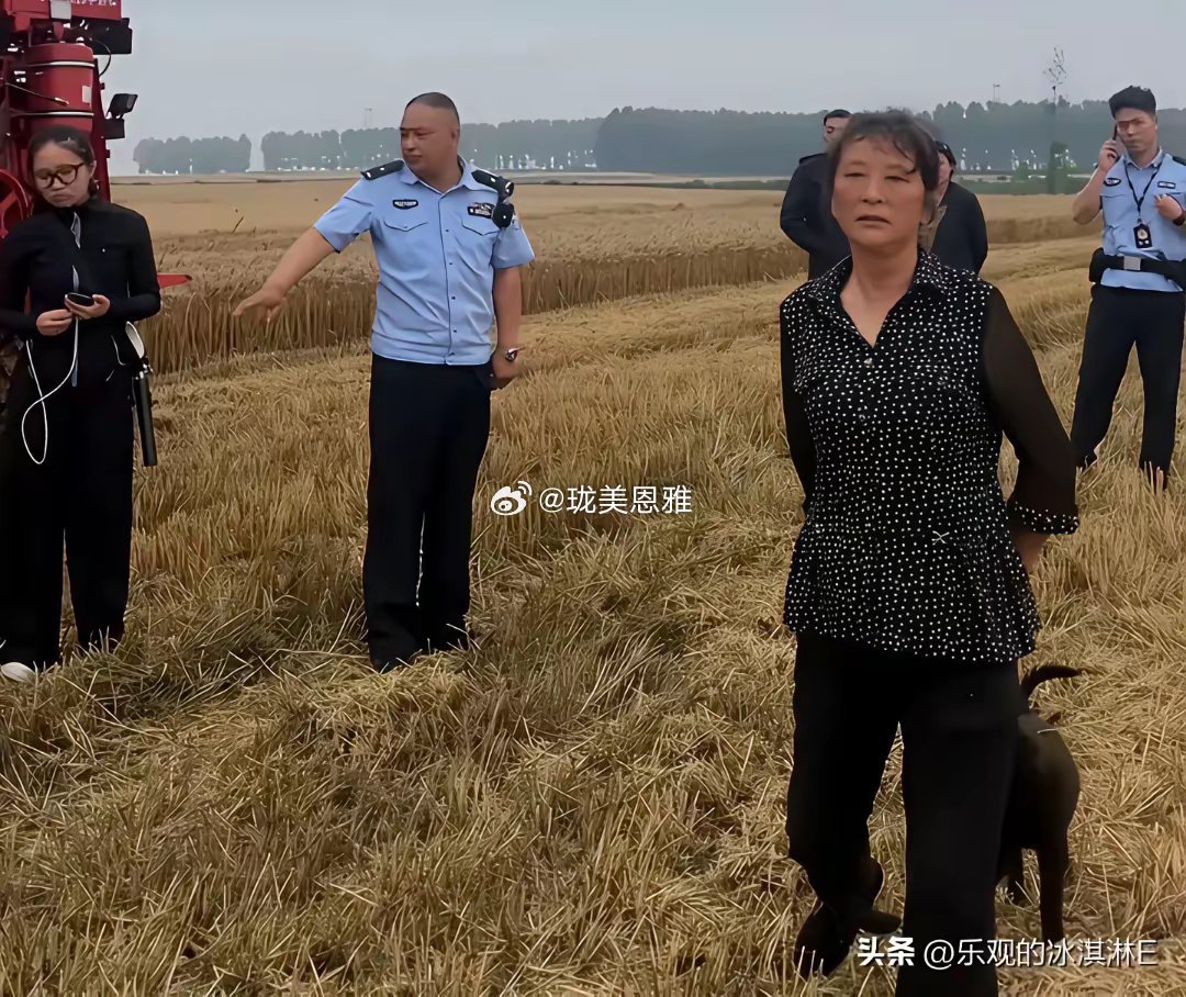 割四赔五的河南收麦小伙子，明年还要到襄阳帮忙收麦吗？ 