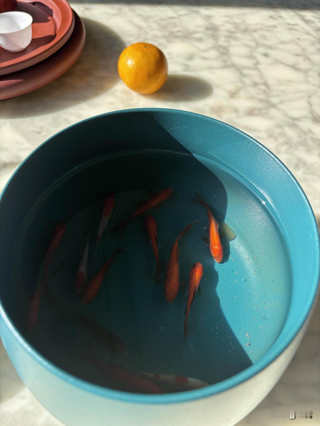 《天道》中有这样一句话：
低级人活在情绪里，
中级人活在价值里，
高级人活在觉醒