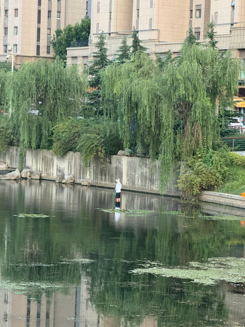 不懂就问，你们钓鱼佬都这么拼的吗