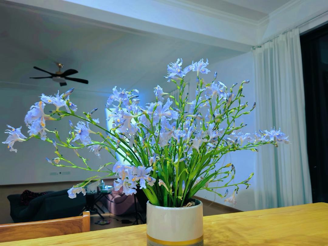 90年代堂姑毅然离婚：在保守年代，她的勇气藏着农村女性的尊严
 
我一个堂姑，老