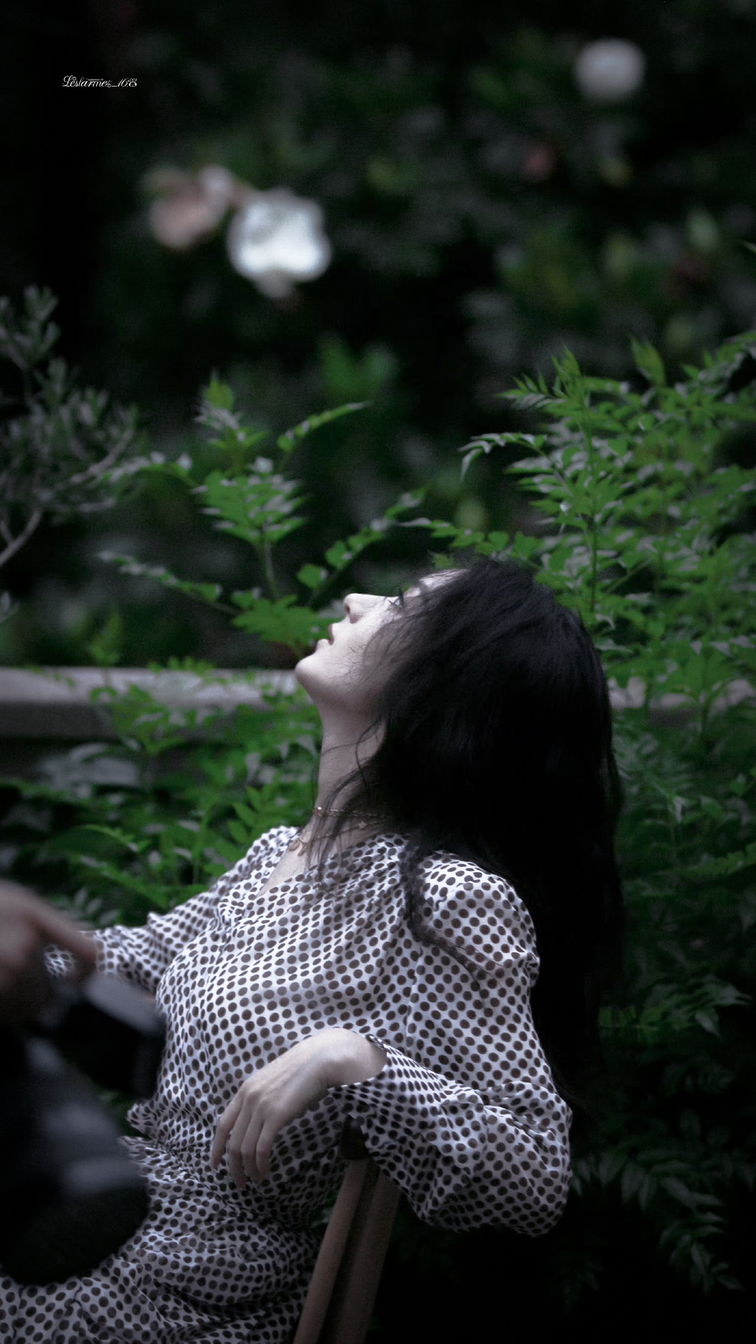 赵丽颖赵丽颖沈璃 zly赵丽颖许半夏 The flower will withe