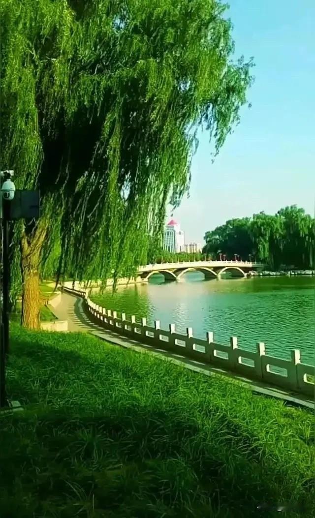 35℃高温下全副武装遛狗：烈日下最动人的身影，诠释什么叫真正的温柔！

傍晚时分