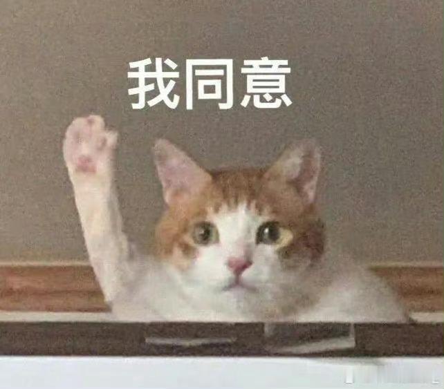 所以嘟嘟现在跟🍍是天选对家吗？ 