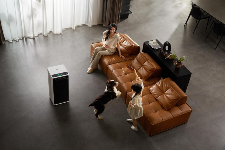 告别滤网！IAM进博会发布“可水洗”空气净化器，重新定义行业规则