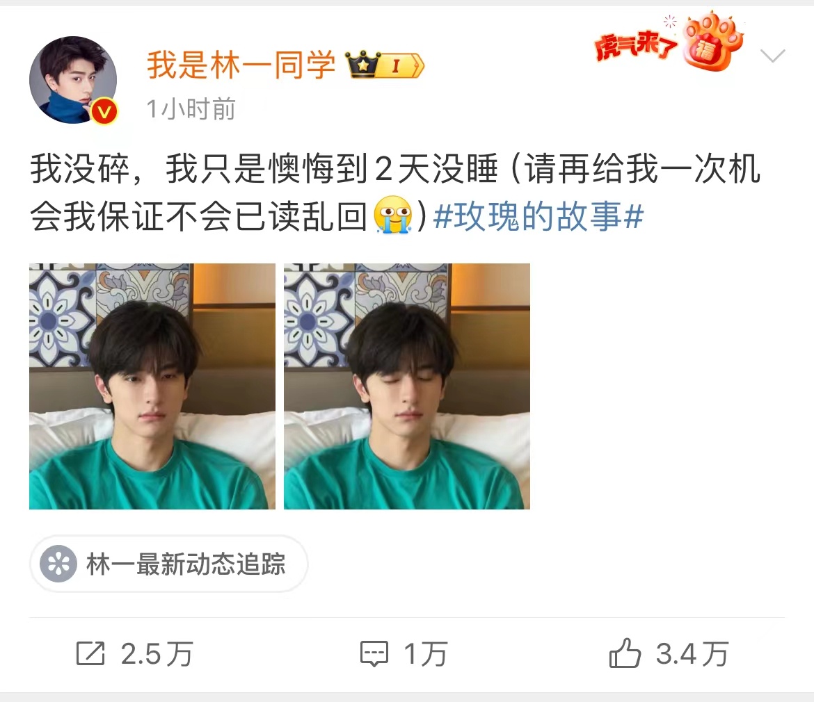 #林一回应和刘亦菲搭戏已读乱回# 林一回应《玫瑰的故事》和刘亦菲搭戏的感受时已读