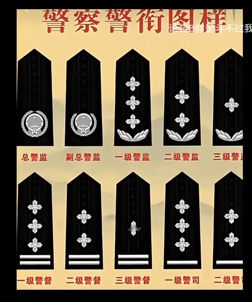 起诉个百货店有啥意思？直接去把公安局告了……LV起诉宁波一日用百货店