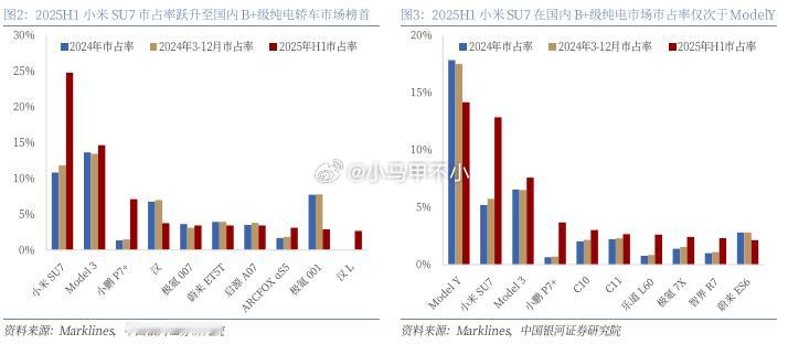 2025年H1小米SU7销售15.6万辆，国内B+级纯电轿车市场市占率跃升至24